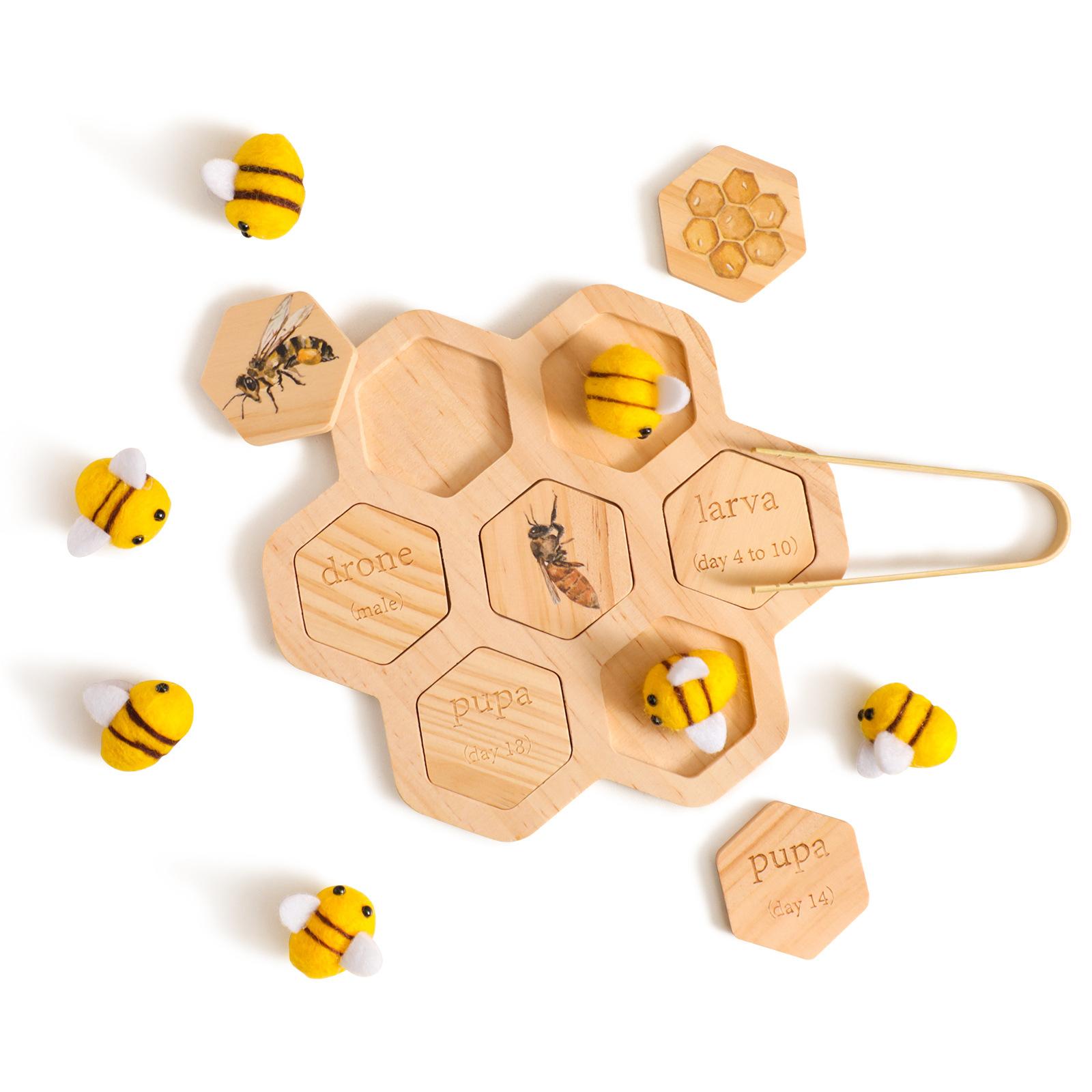 Mainan Montessori Puzzle Kogni - Science Nature ulasan dan harga
