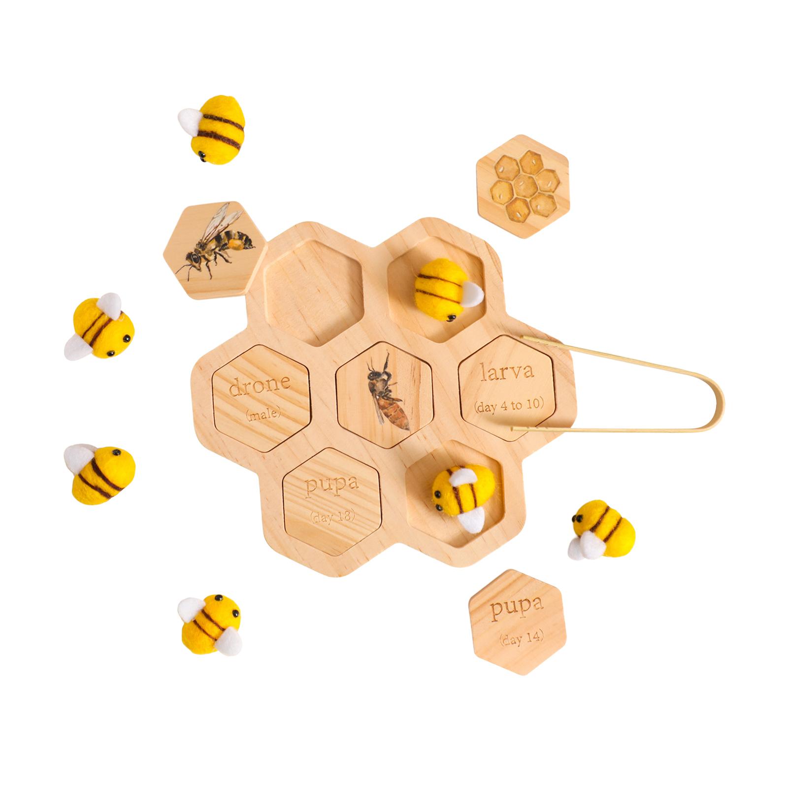 Mainan Montessori Puzzle Kogni - Science Nature ulasan dan harga