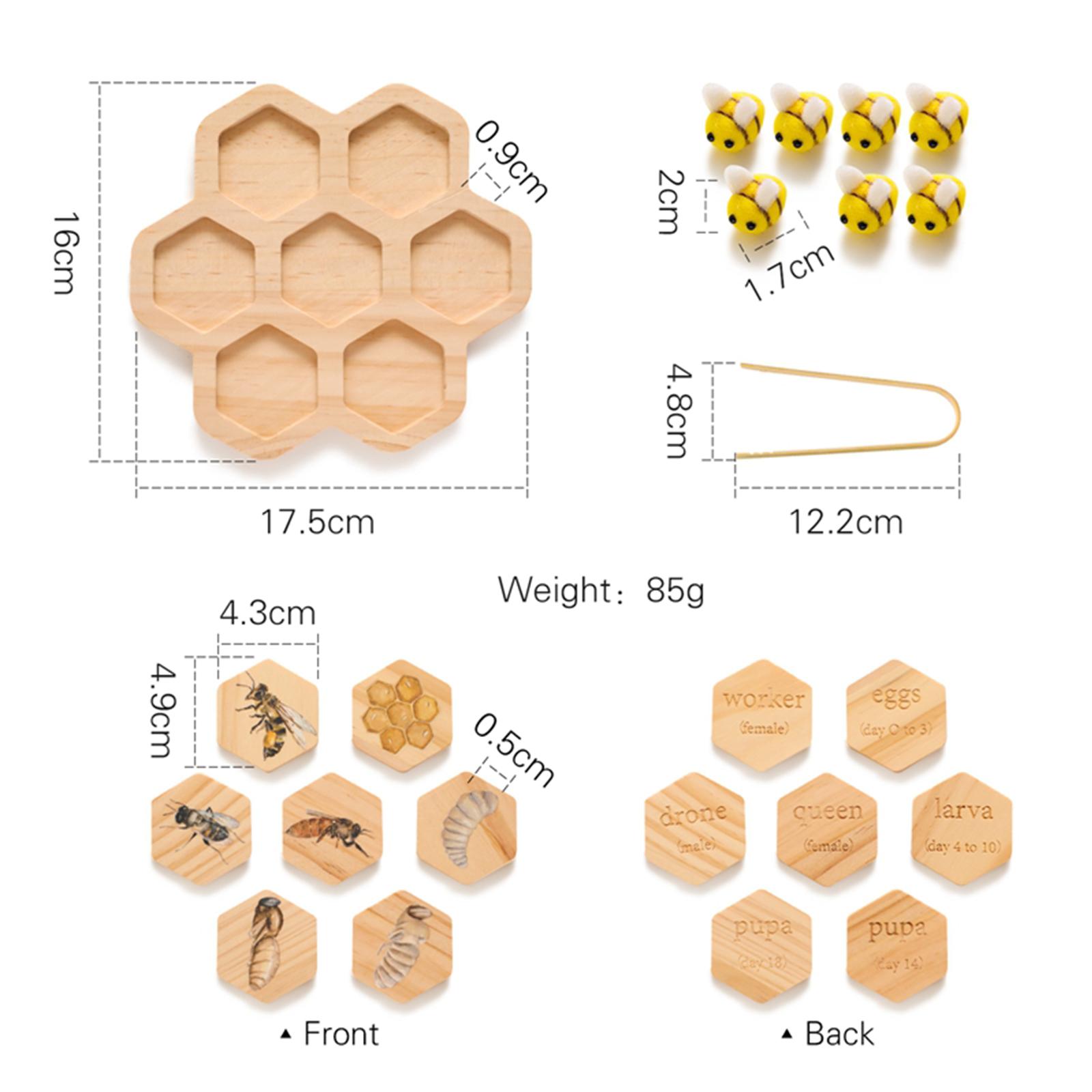 Mainan Montessori Puzzle Kogni - Science Nature ulasan dan harga