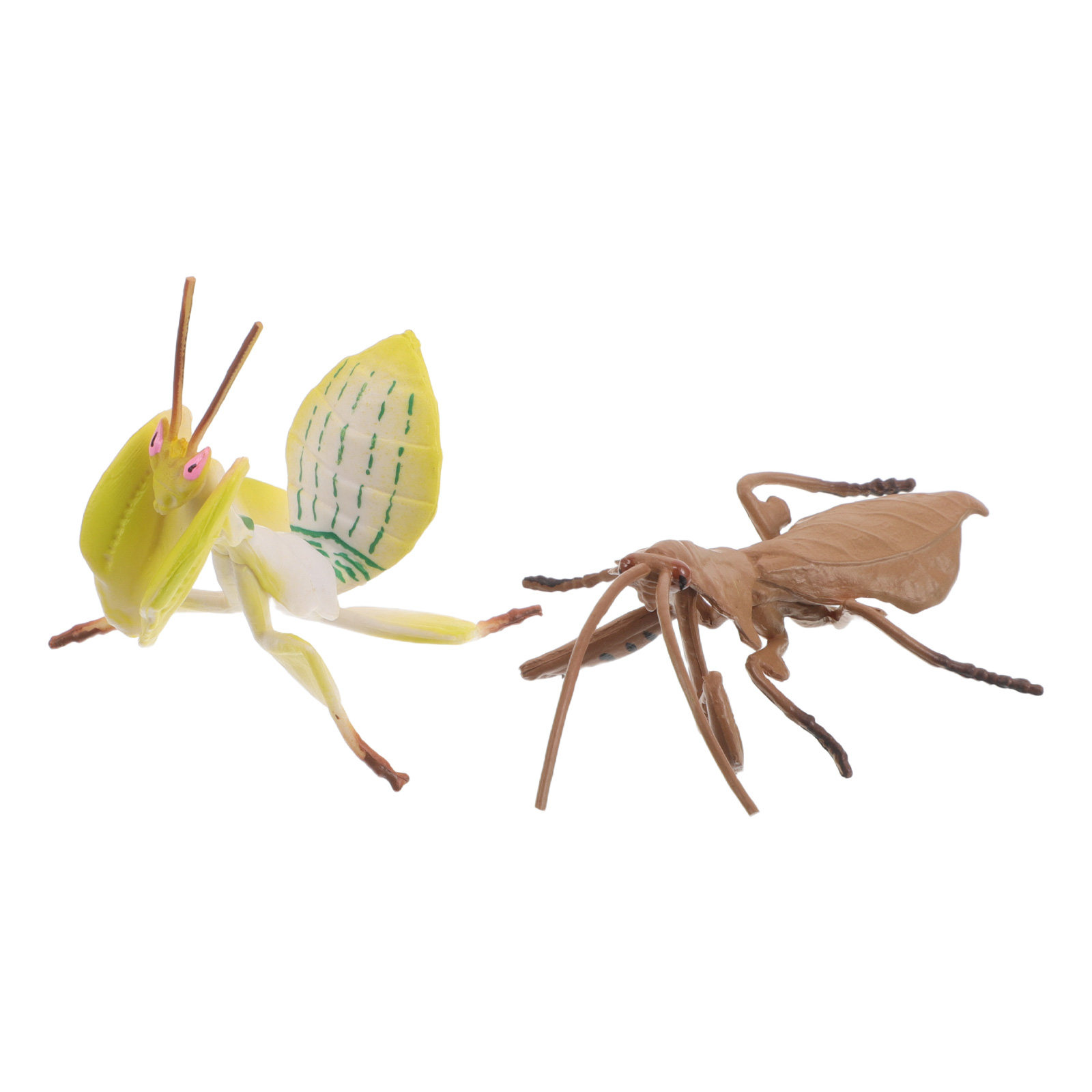 Model Belalang Praying Mantis  - Science Toy ulasan dan harga