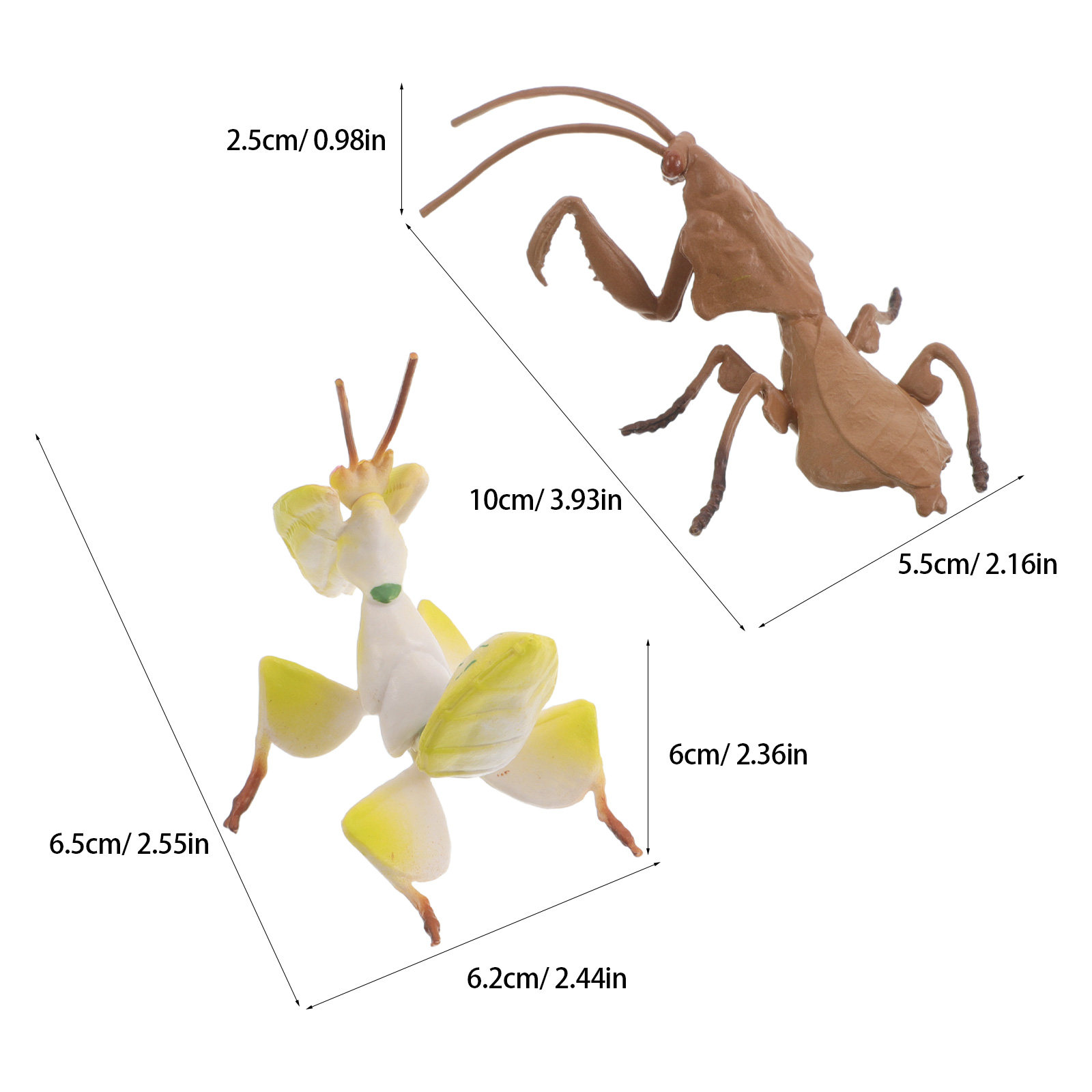 Model Belalang Praying Mantis  - Science Toy ulasan dan harga